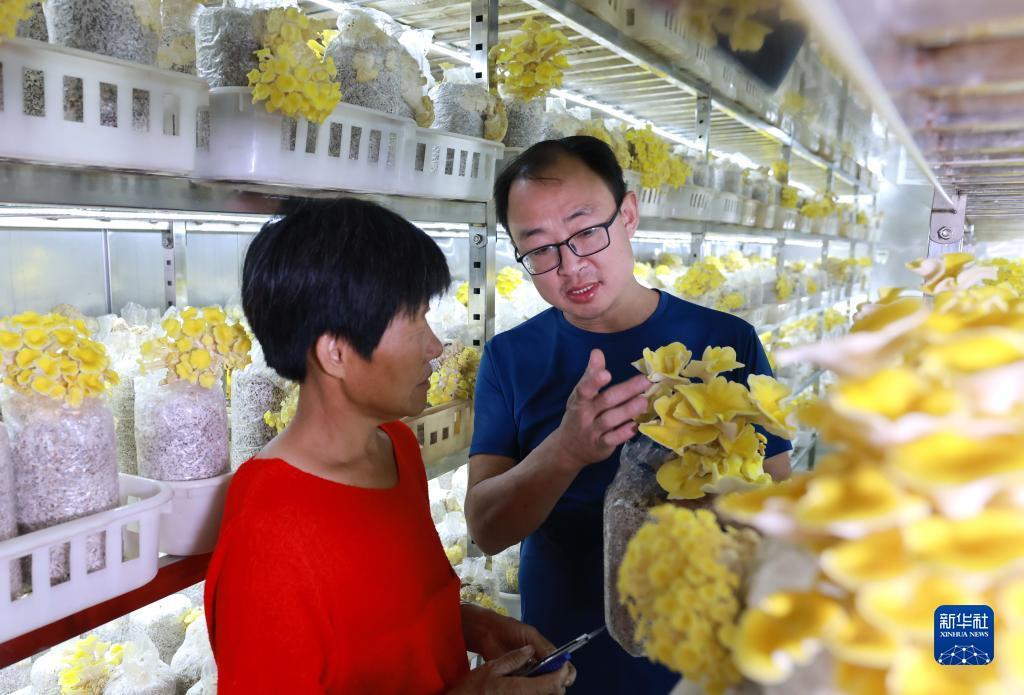怎么算是闲龙宝,庄龙宝
